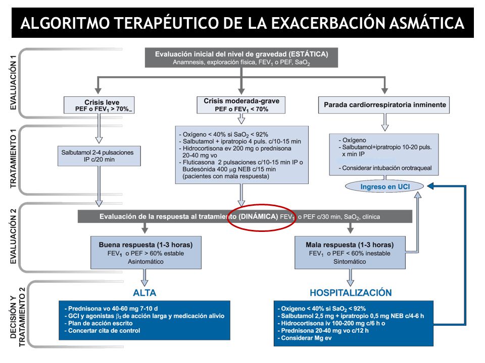 EXACERBACION ASMATICA EPUB DOWNLOAD EXACERBACION ASMATICA EPUB DOWNLOAD